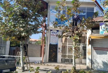 آغاز عملیات شاخه‌زنی و هرس درختان سطح شهر