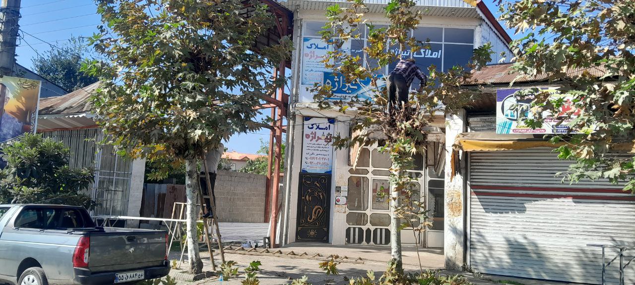 آغاز عملیات شاخهزنی و هرس درختان سطح شهر