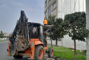 عملیات هرس درختان حاشیه خیابان‌ها و بلوار امام رضا(ع)