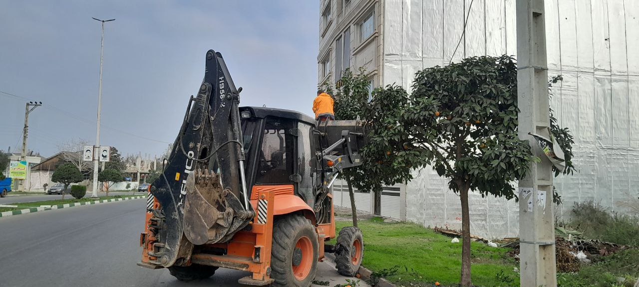 عملیات هرس درختان حاشیه خیابان‌ها و بلوار امام رضا(ع)